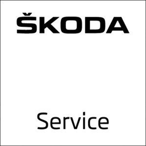 Skoda _service _logo